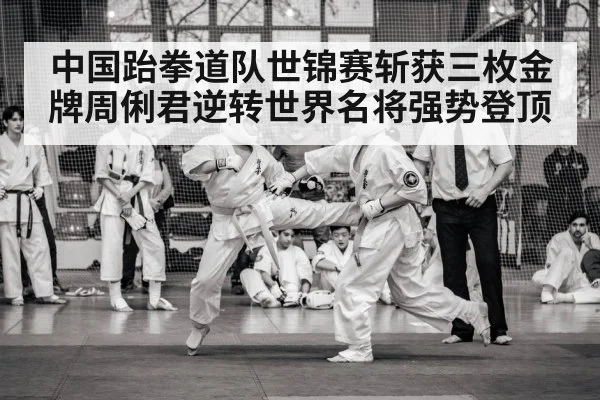 中国跆拳道队世锦赛斩获三枚金牌周俐君逆转世界名将强势登顶