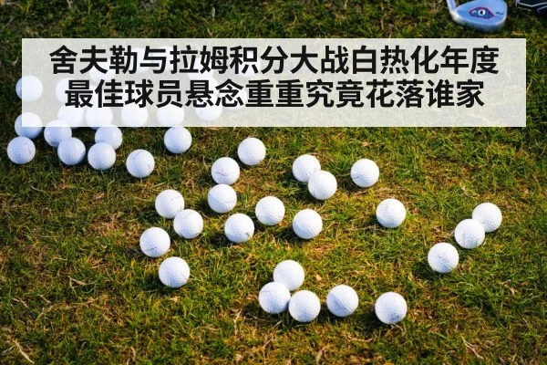 舍夫勒与拉姆积分大战白热化年度最佳球员悬念重重究竟花落谁家